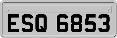 ESQ6853