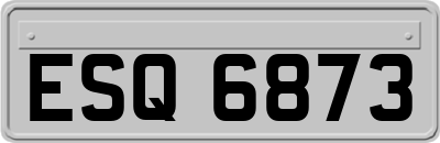 ESQ6873