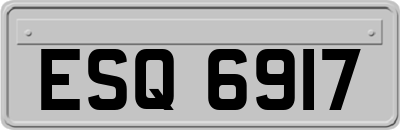 ESQ6917
