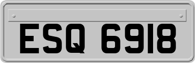 ESQ6918