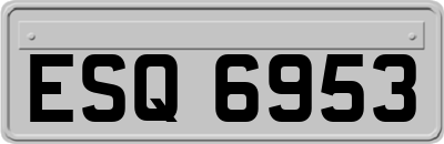 ESQ6953