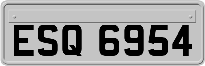 ESQ6954