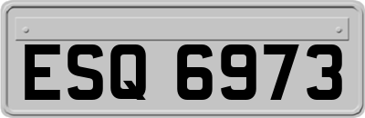 ESQ6973