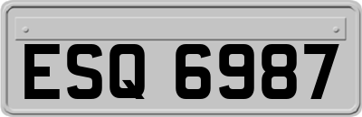 ESQ6987