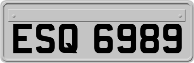 ESQ6989