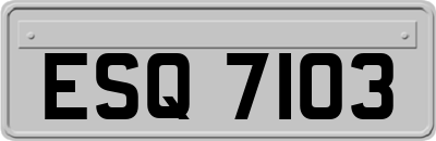 ESQ7103