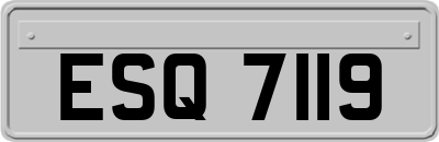 ESQ7119