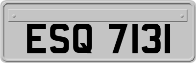 ESQ7131