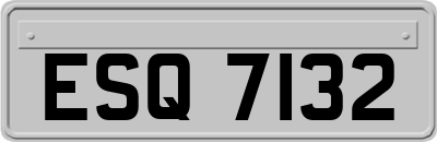 ESQ7132