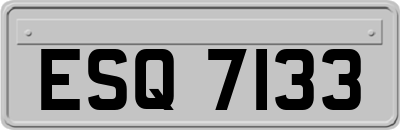 ESQ7133
