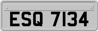ESQ7134