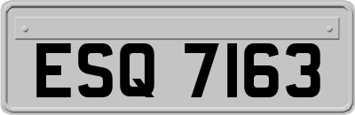 ESQ7163