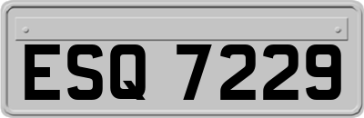 ESQ7229