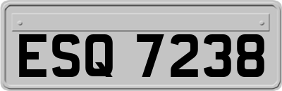 ESQ7238