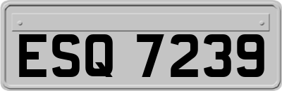 ESQ7239