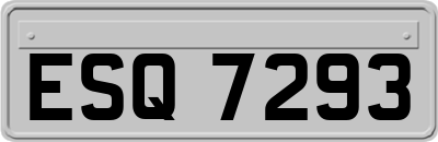 ESQ7293