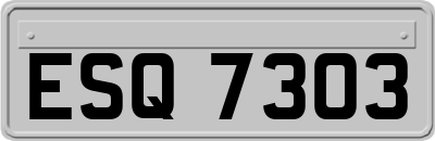ESQ7303