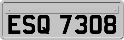 ESQ7308