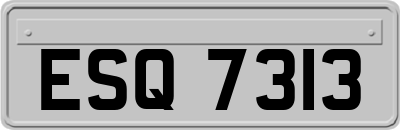 ESQ7313