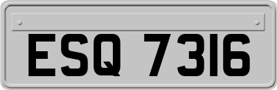 ESQ7316