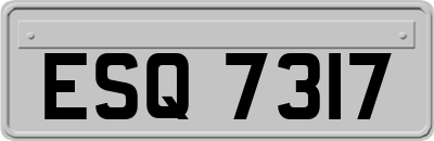 ESQ7317