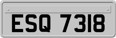 ESQ7318