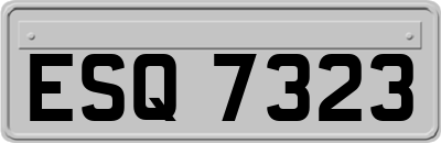 ESQ7323