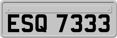 ESQ7333