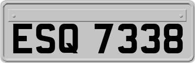 ESQ7338