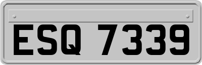 ESQ7339