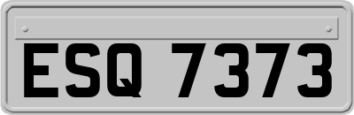 ESQ7373