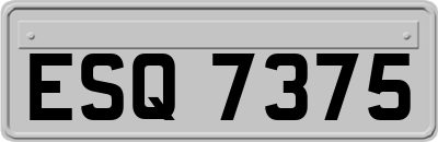 ESQ7375