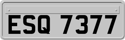 ESQ7377