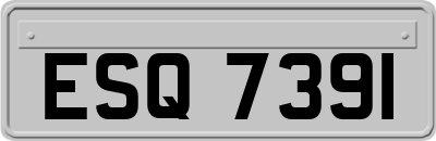 ESQ7391