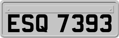 ESQ7393