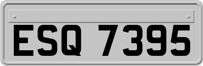 ESQ7395