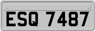 ESQ7487