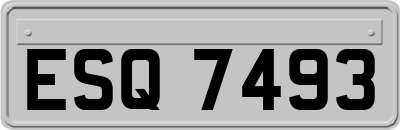 ESQ7493