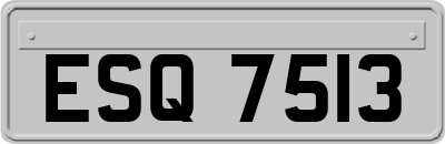 ESQ7513