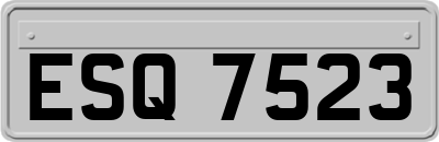 ESQ7523
