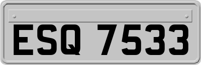 ESQ7533