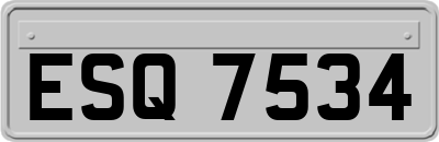 ESQ7534
