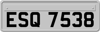 ESQ7538
