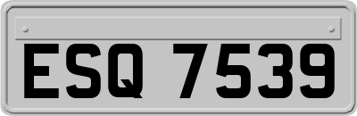 ESQ7539