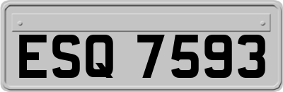 ESQ7593