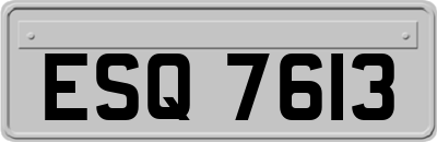 ESQ7613