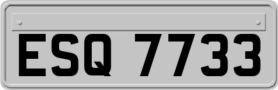 ESQ7733