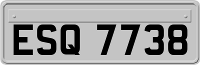 ESQ7738