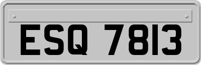 ESQ7813