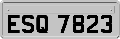 ESQ7823